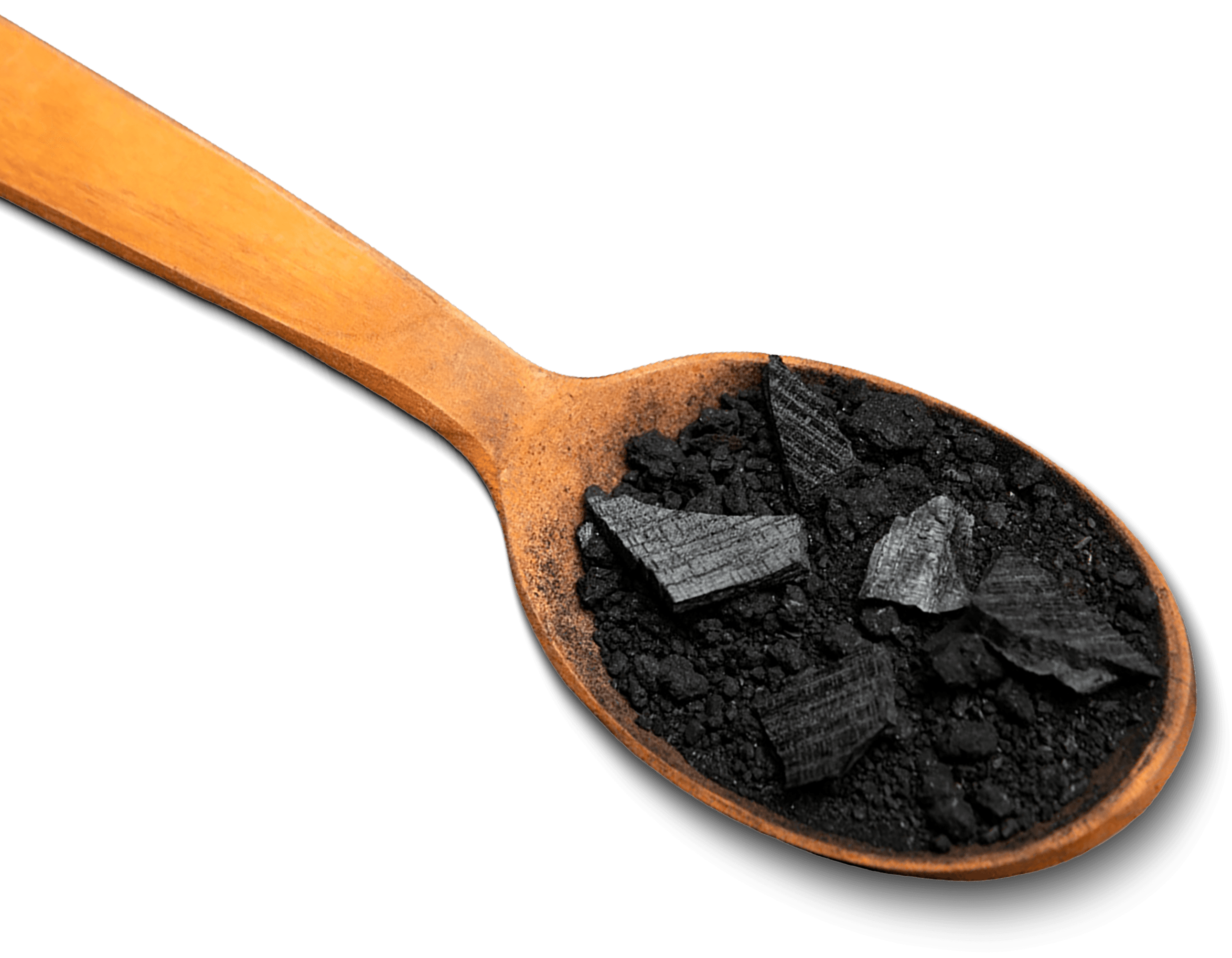 Shilajit (Purified)